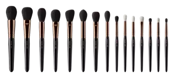 Complexion First brush set